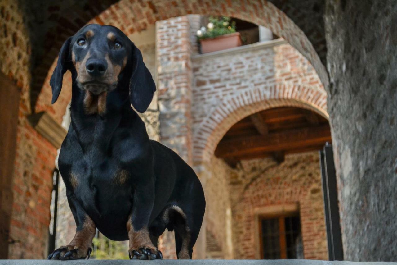 Bed and Breakfast Castello di Cernusco Lombardone Esterno foto