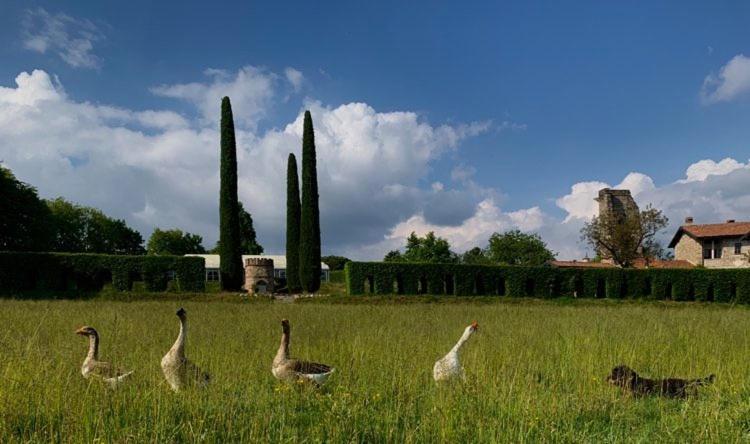 Bed and Breakfast Castello di Cernusco Lombardone Esterno foto
